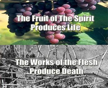 the flesh and the spirit